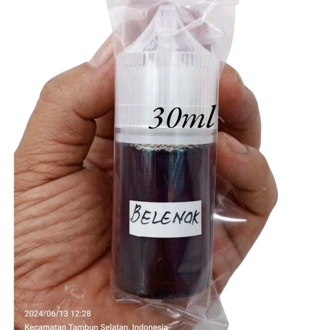 ESEN BELENOK ORIGINAL BIANG MURNI RAJA KOPI UNTUK UMPAN IKAN MAS GALATAMA LELE BAWAL PATIN MANCING P