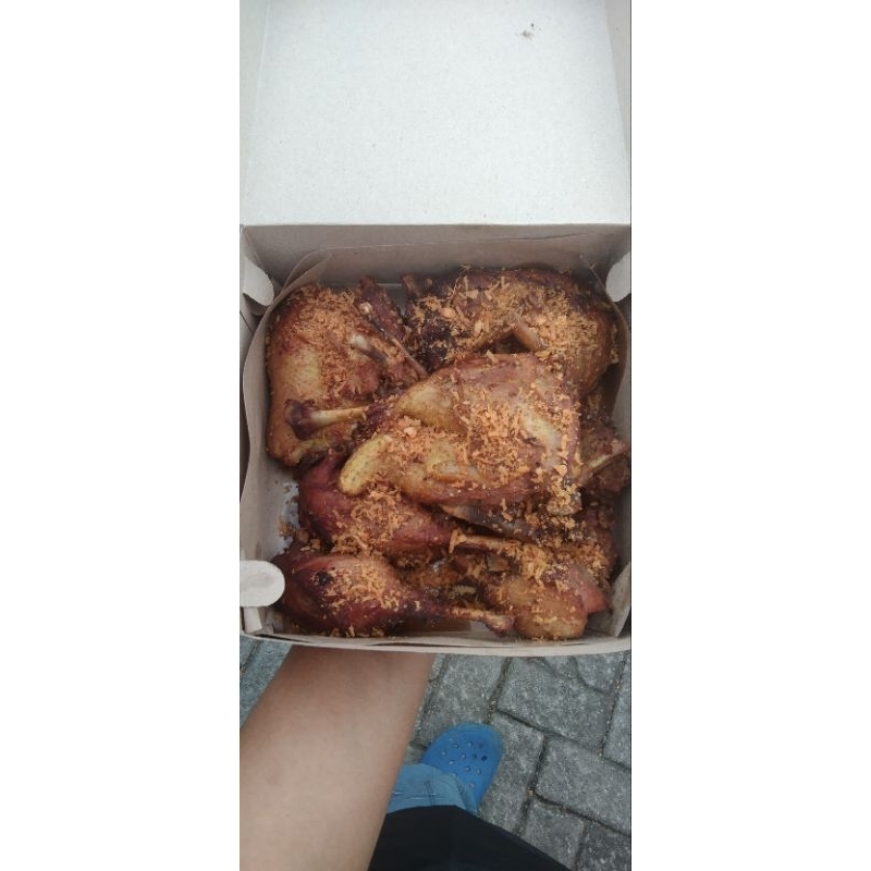 

Bebek OP Jumbo seekor