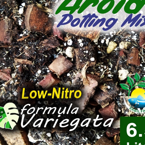 Eksklusif AROID Potting MIX PREMIUM  CHUNGKY MIX Untuk semua jenis AROID