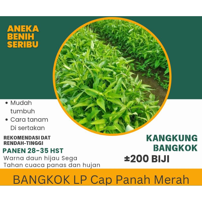 Biji-Benih kangkung Kangkung Bangkok Sayur