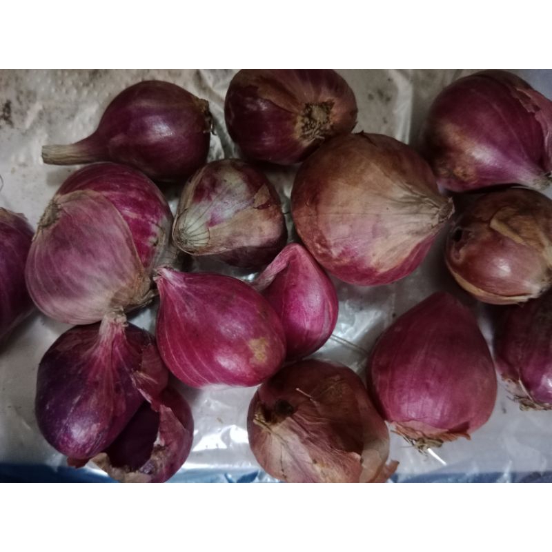 

BAWANG MERAH 1KG