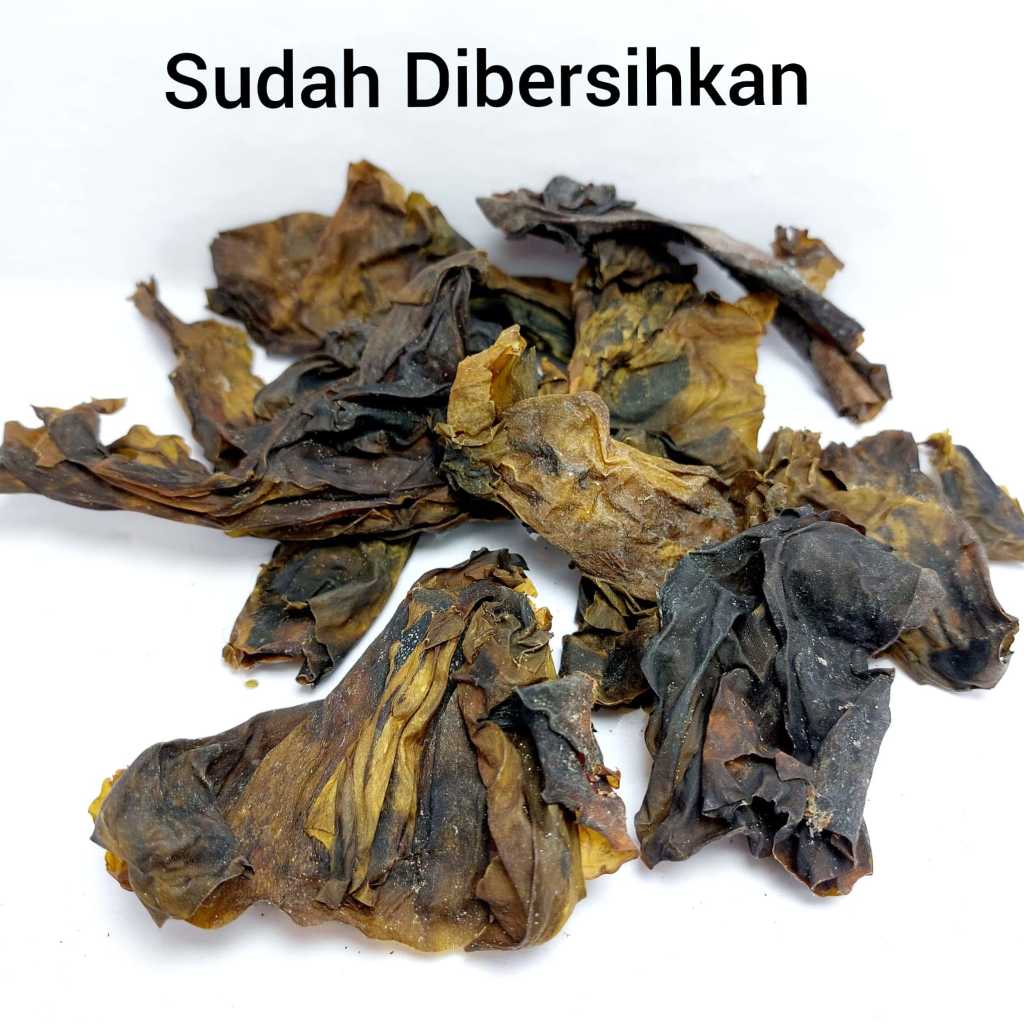 

50 Gram - Hai Dai Pi 海帶皮 Kelp / Dried / Dashima