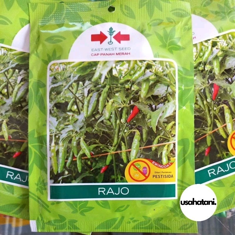 Benih Cabe Rawit Hijau RAJO 2250 Butir Cap Panah Merah