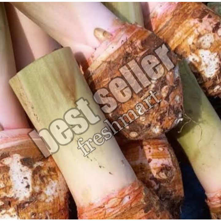 

Talas bogor 3 bonggol buah talas khas bogor