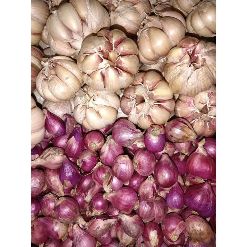 

Bawang Merah Super 1/2kg Bawang putih Super 1/2kg