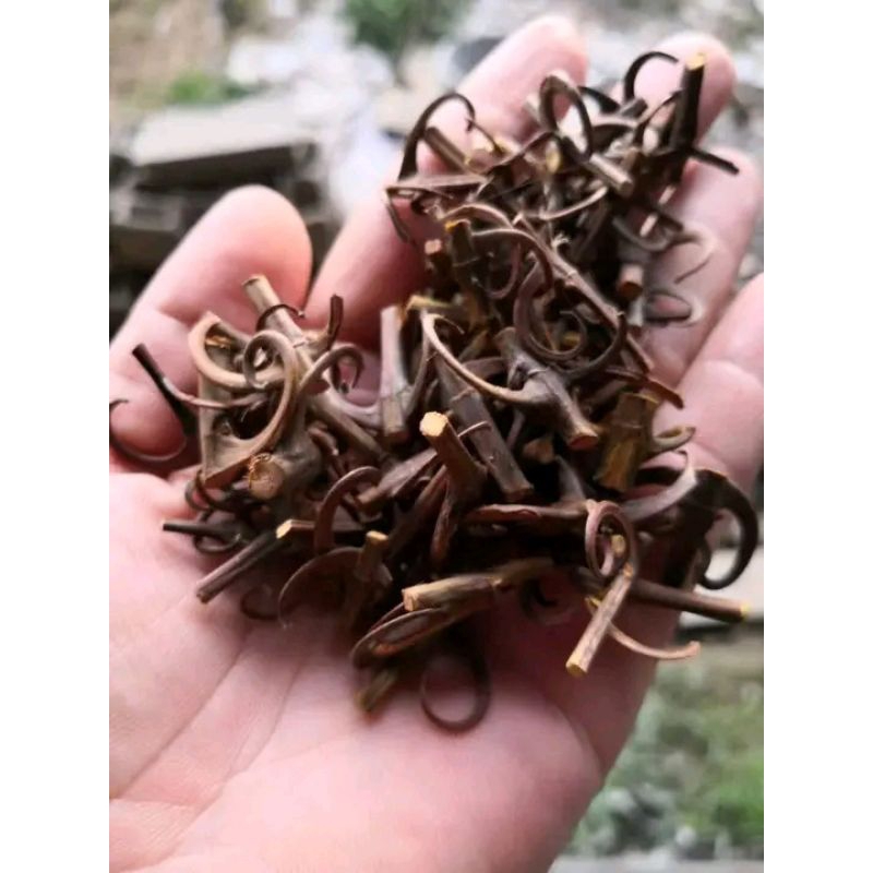 

250 gram AKAR KAIT-KAIT , CAKAR ELANG , SHUANG GHUO THENG , 双果腾 , UNCARIA LAEVIGATA , UNCARIA MACROPHILLA