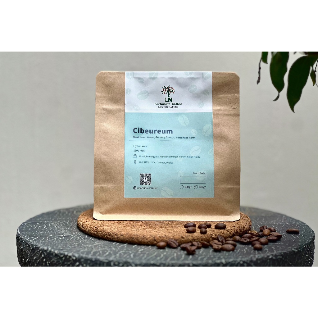 

Cibeureum Hybrid Wash Fortunate Farm Gunung Guntur Garut West Java Jawa Barat Biji Kopi Arabika Roasted Coffee Beans