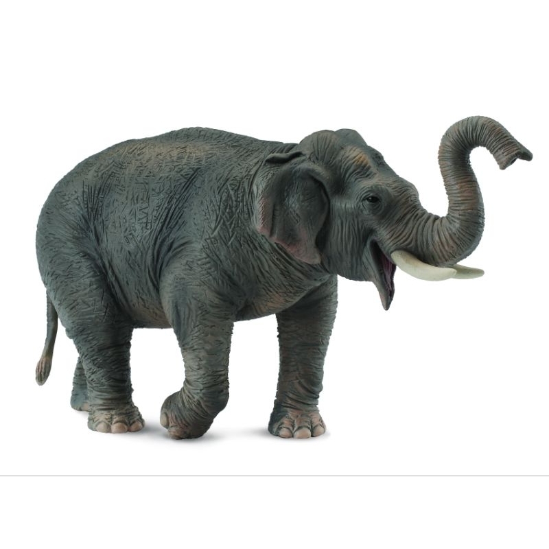 CollectA - Apollo the Asian Elephant