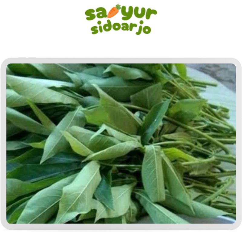

Daun singkong 1 ikat