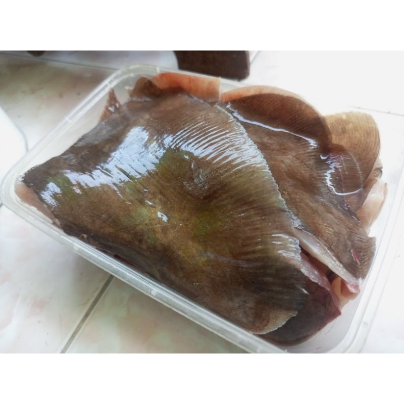 

Ikan Pari Siap Masak Fresh