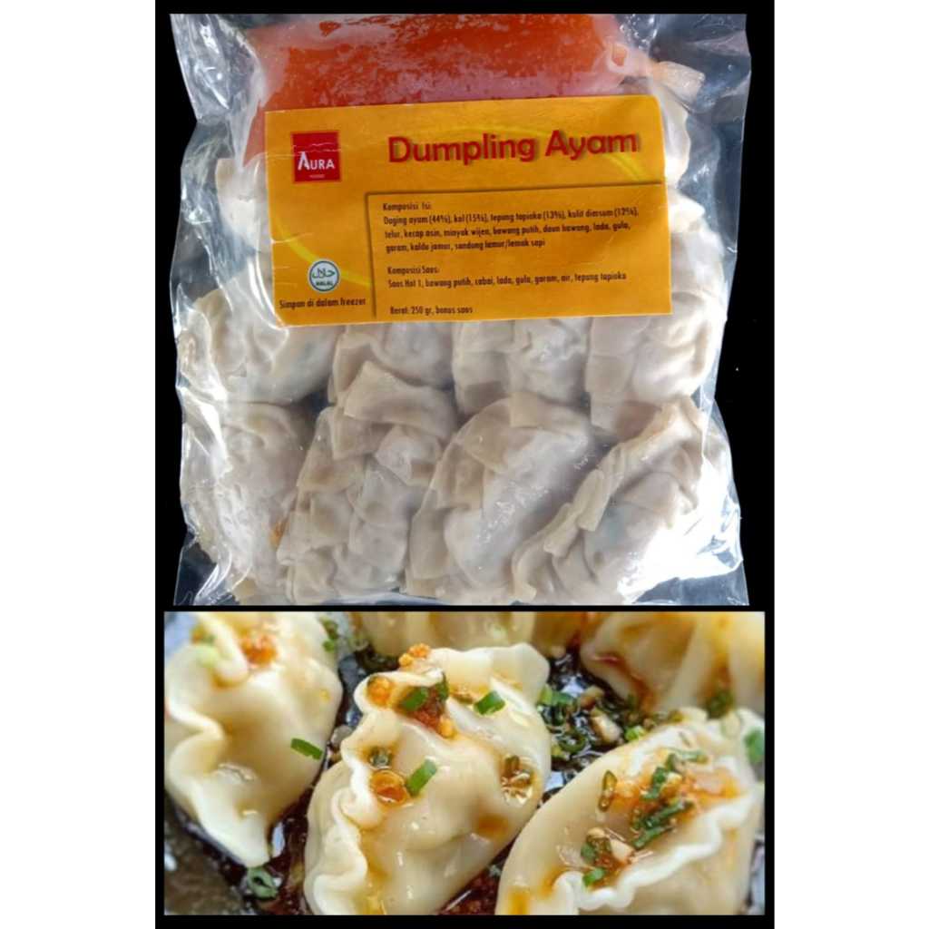 

DUMPLING AYAM