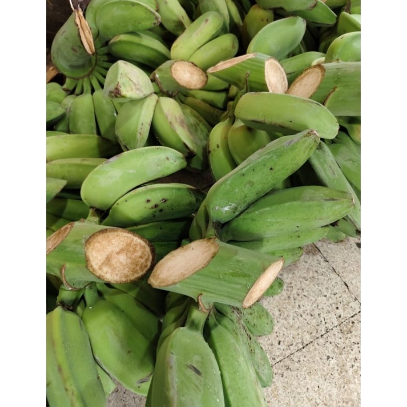

Pisang Kepok Jumbo 1 Sisir