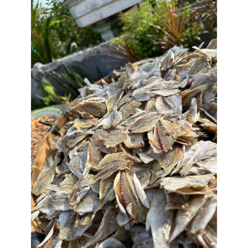 

IKAN ASIN (Potong Kepala Ikan)