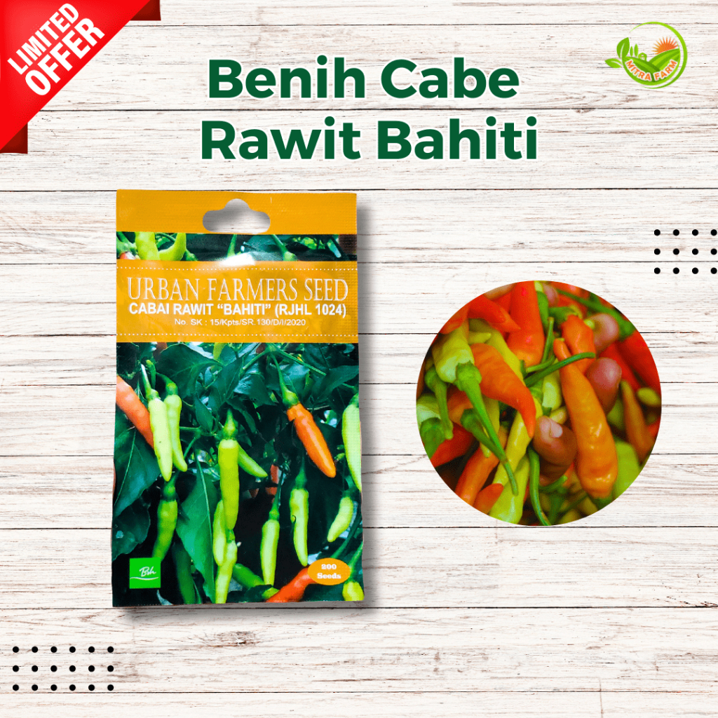 Benih Cabe Rawit Bahiti/Cabe Rawit Borga/cabe Rawit Putih