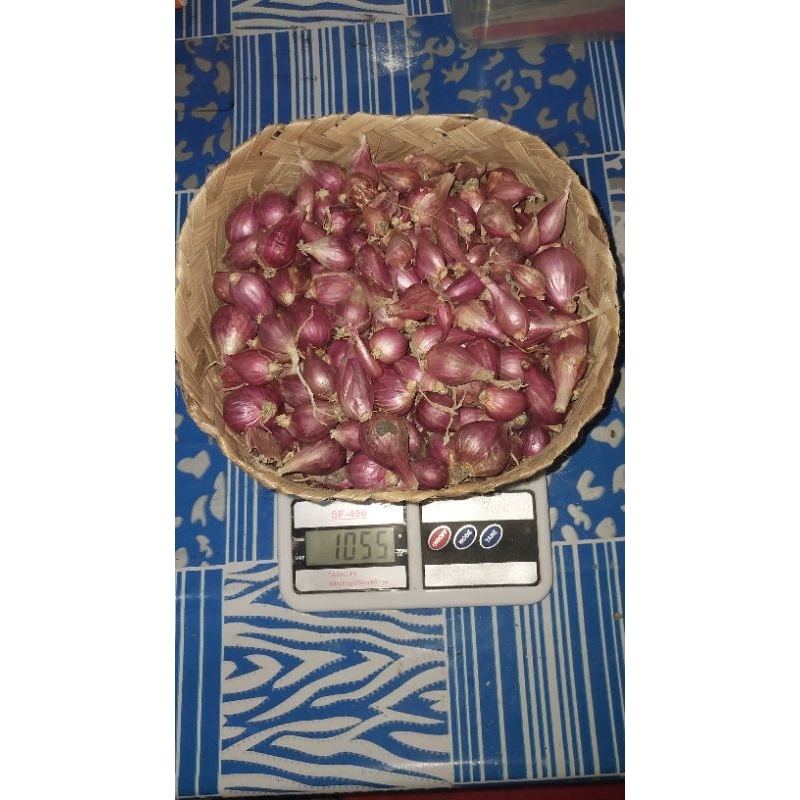 

Bawang Merah Brebes