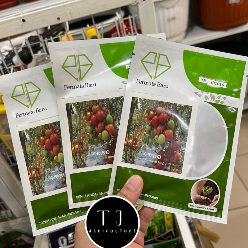 Benih Tomat Triko 5gr Permata Baru