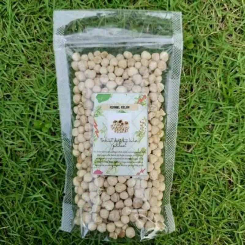 

Biji kelor kupas KERNEL 100 gr