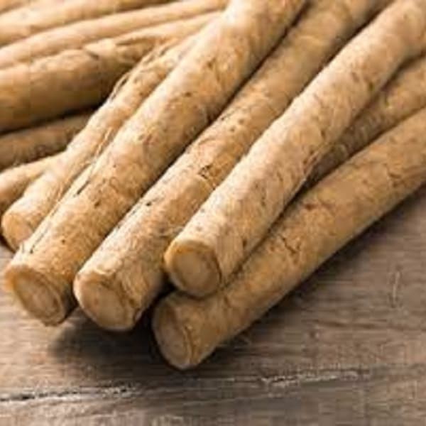 

Gobo / akar gobo - burdock root