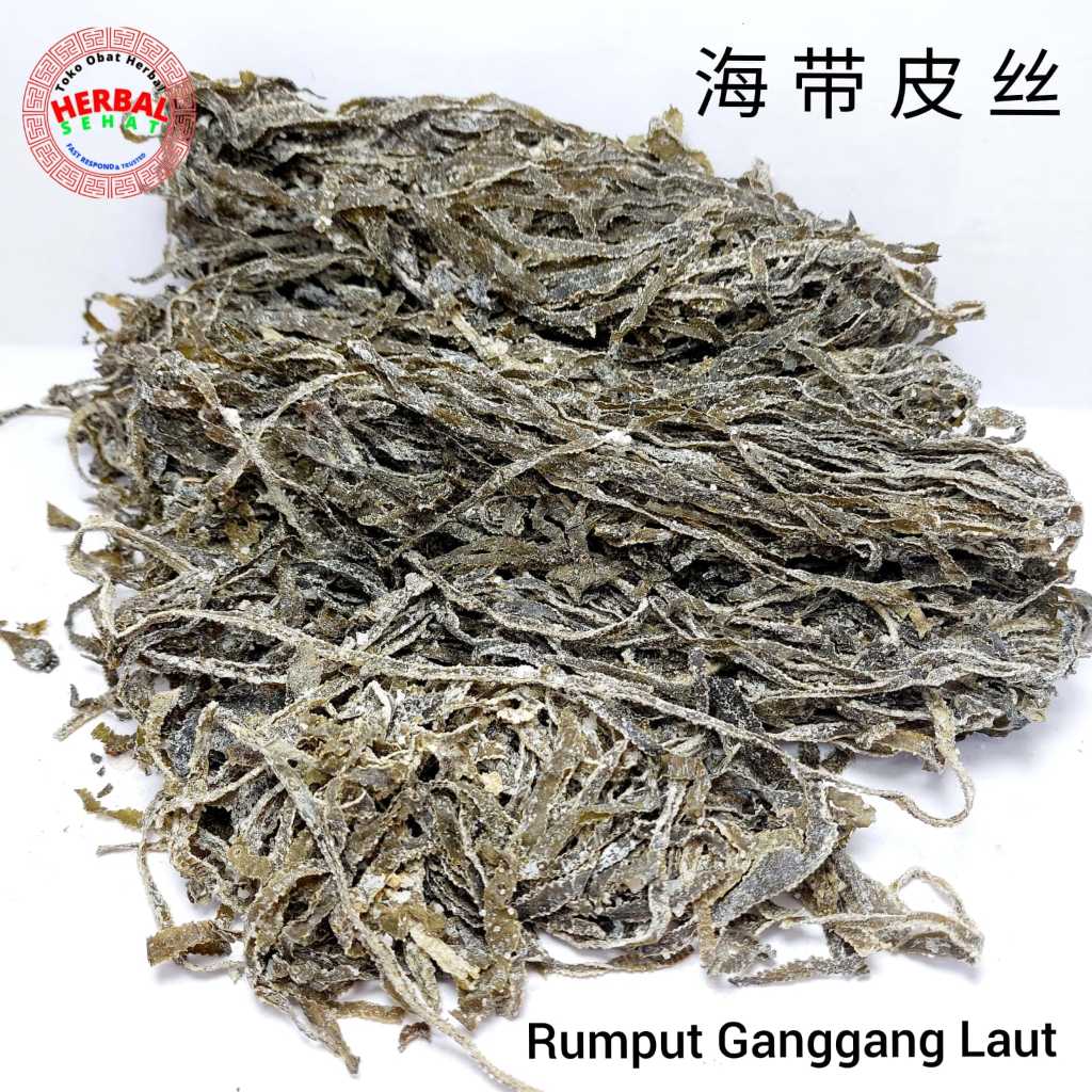 

Hai Dai Pi Si 海带皮丝 Rumput Ganggang Laut / Konbu / Rumput Laut Kering