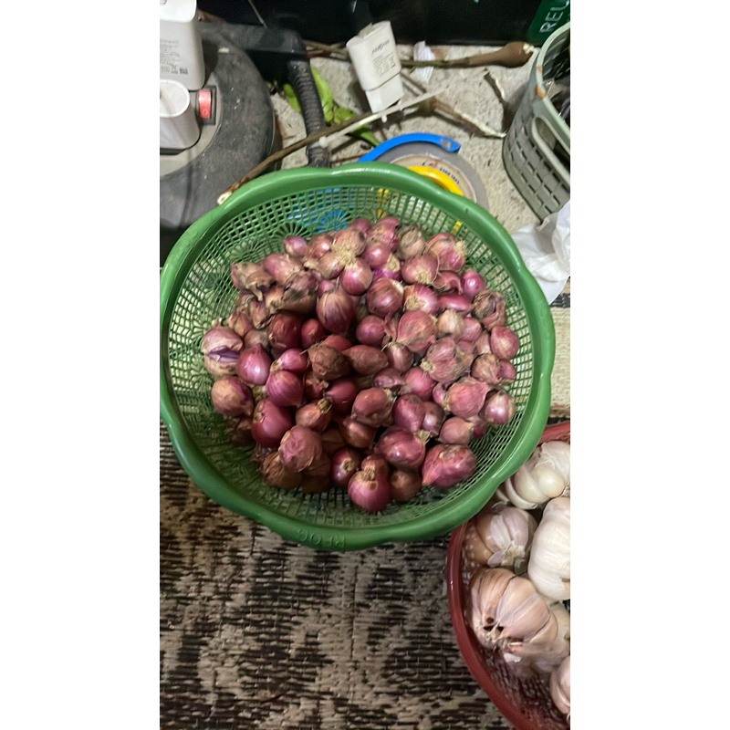 

BAWANG MERAH KERING UKURAN CAMPUR