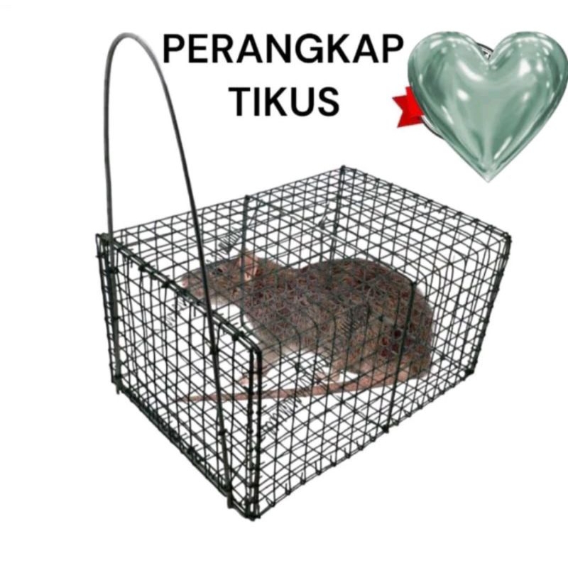 PERANGKAP TIKUS KAWAT HIJAU / JEBAKAN TIKUS