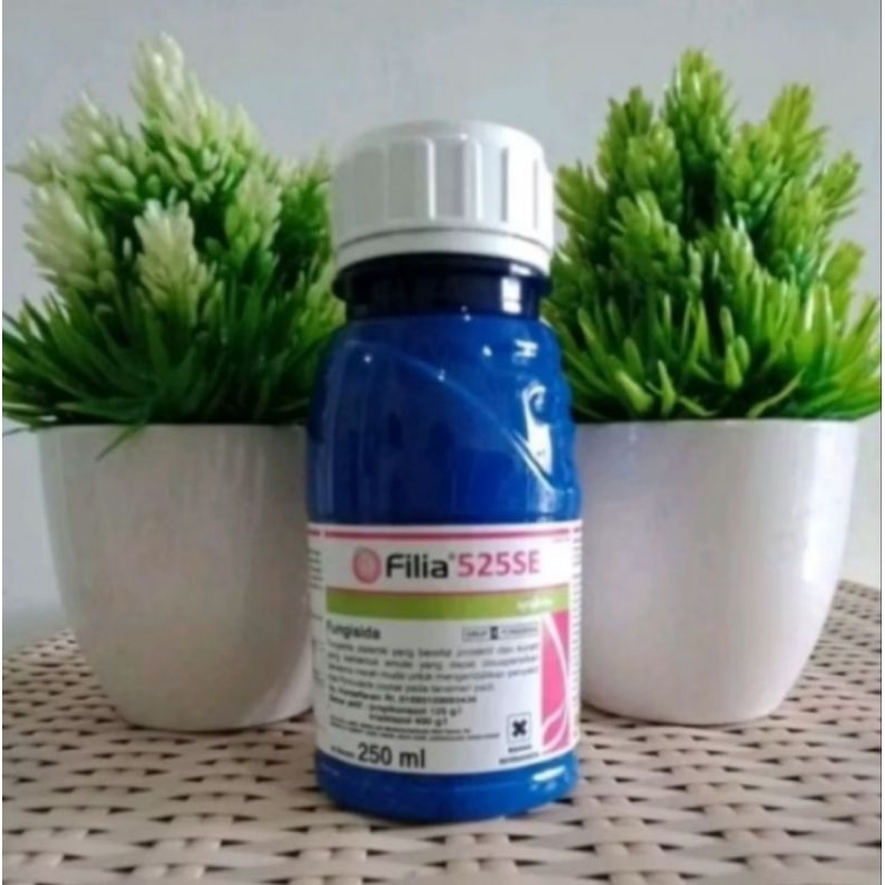 Filia 250ml.