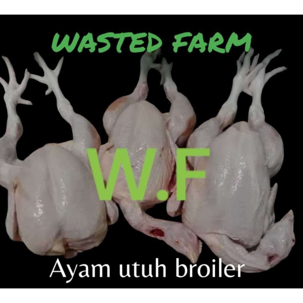 

Ayam Karkas Broiler Size 800gr Ayam Potong Fress bonus ceker+kepala+ati & ampela