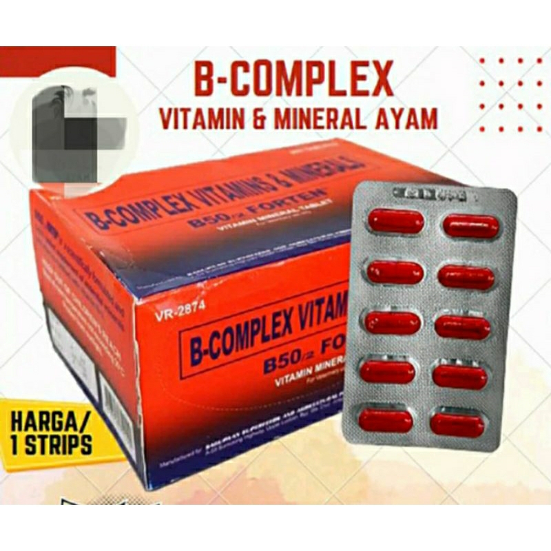 B50 Forten Suplemen Doping Ayam Jago Refleks Agresif Stamina Mental Berlipat -5capsuls