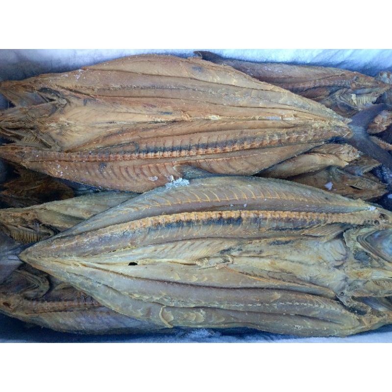 

ikan kering telang tenggiri asli tabanio