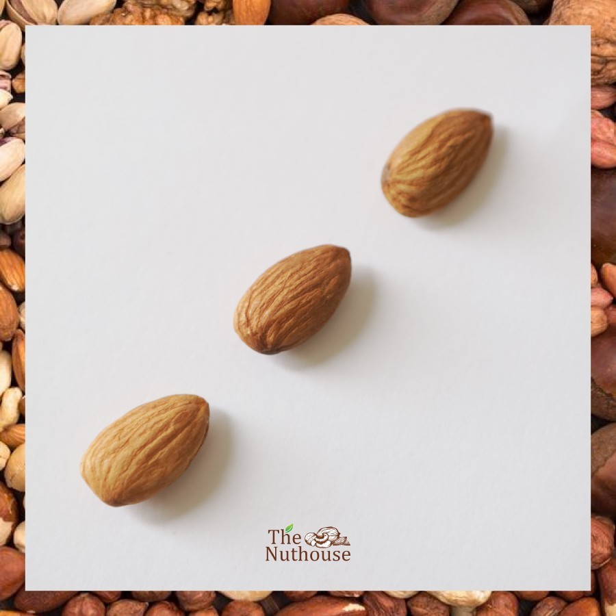 

NUTHOUSE Almond Whole Roasted Premium / Kacang Almond Matang Utuh NPX 27/30