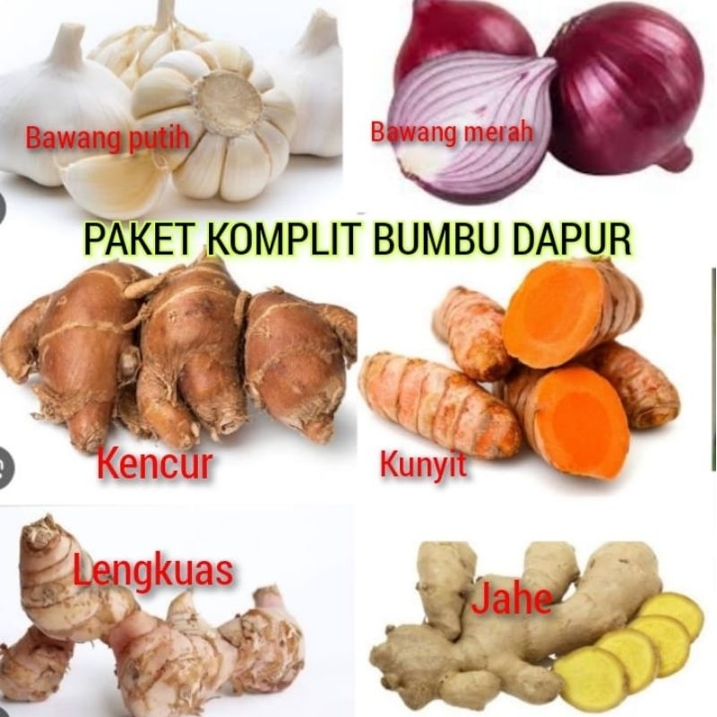 

Paket komplit bumbu dapur, bawang merah, bawang putih, kunyit, jahe, kencur,lengkuas