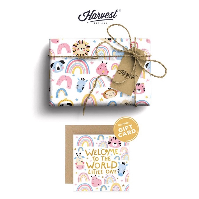 

DISCOUNT TODAY Paket Kertas Kado Kartu Ucapan Baby New Born Harvest Baby Rainbow