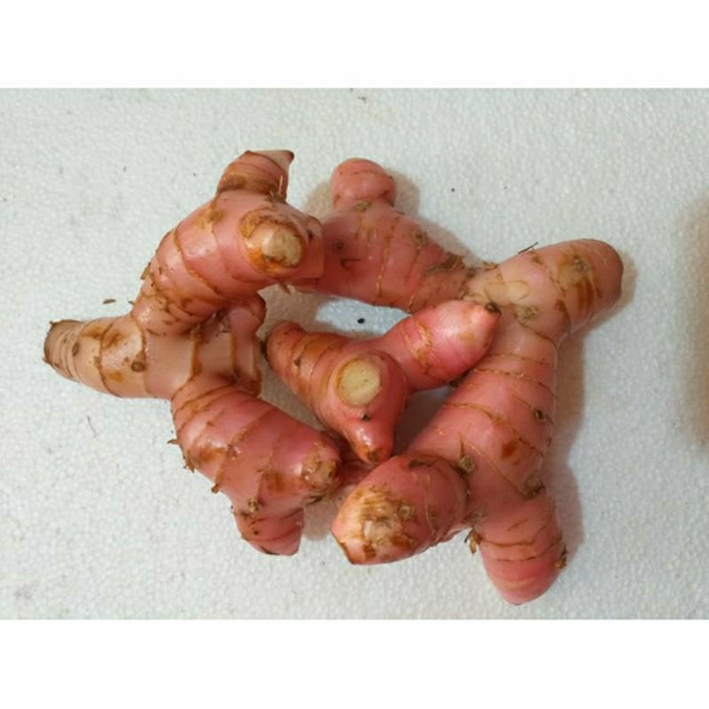 

Lengkuas merah 250 gram