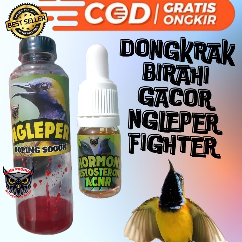 NGLEPER DOPING BURUNG SOGON 2 VARIAN DOPING SOGON DAN HORMON TESTOSTERON ACNR