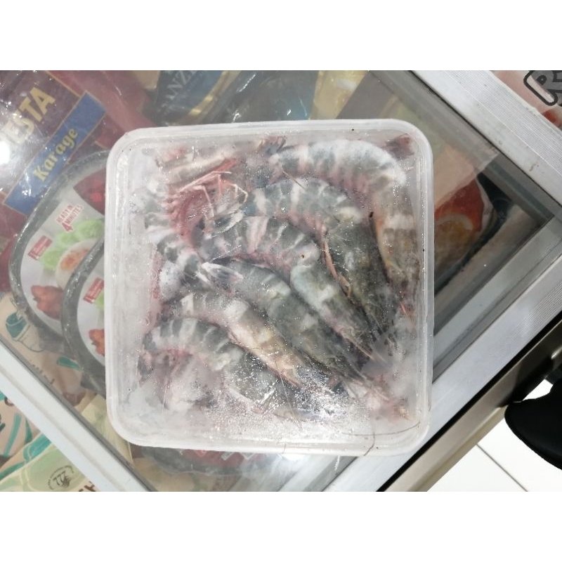 

Udang Frozen