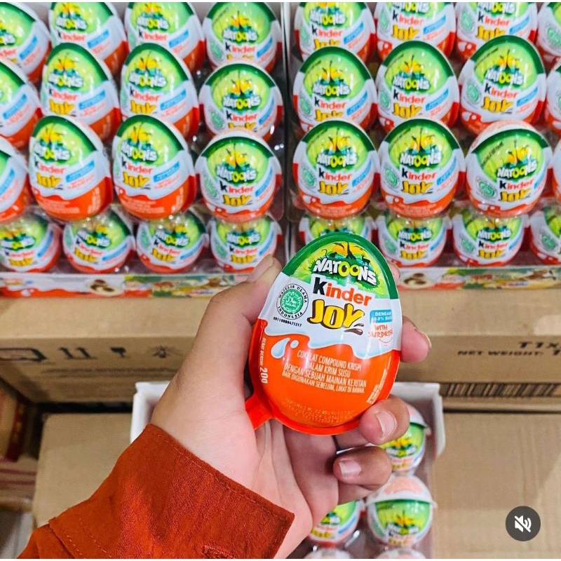 KINDER JOY NATOONS