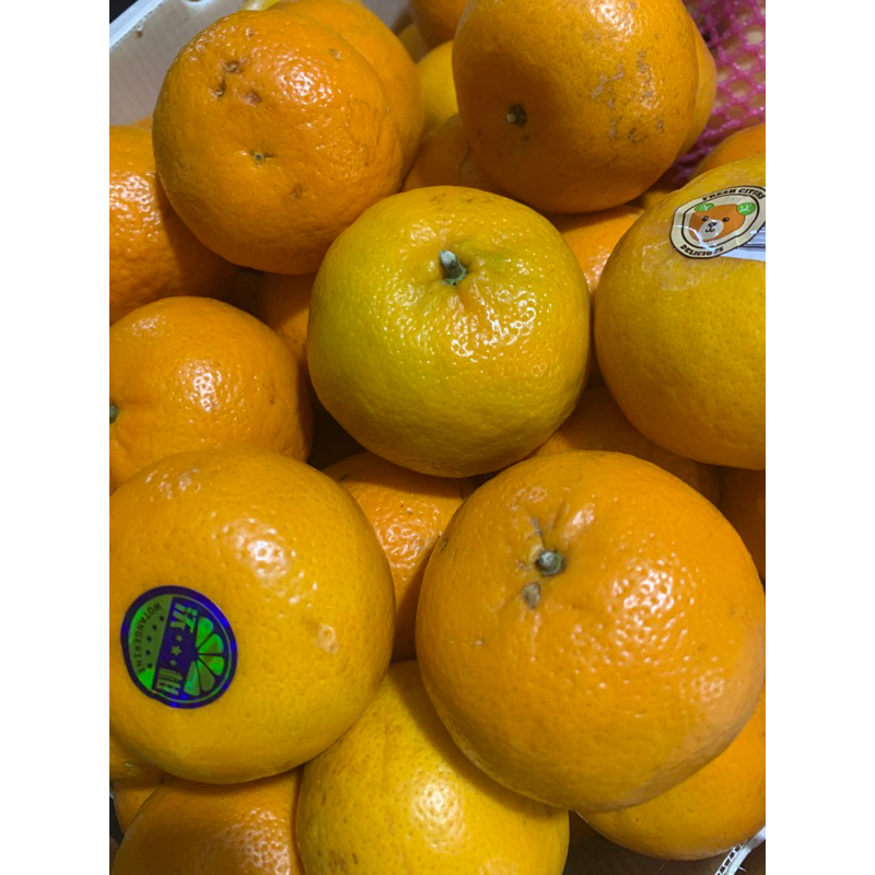 

Jeruk Wogan Mandarin / Jeruk Wogan