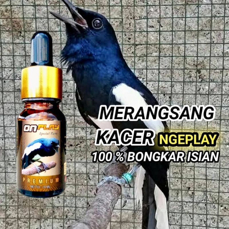 ON PLAY PREMIUM / VITAMIN BURUNG KACER/penggacor burung kacer/vitamin burung/suplemen burung kacer