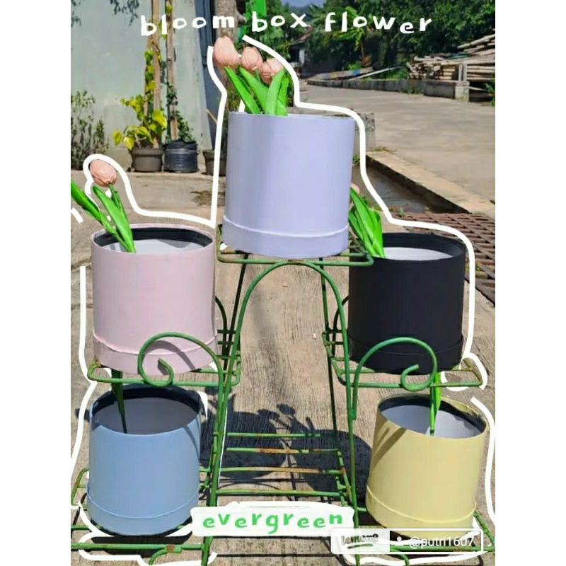 

Bloom Box Bulat/Box Bulat Polos/Box Round/Giftt Box