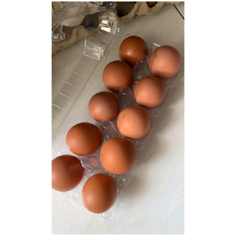 

Kirim instan - telur ayam isi 10