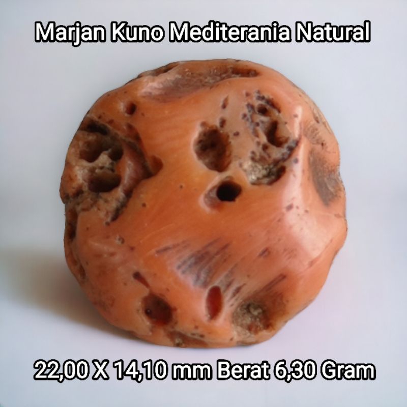 Batu Marjan kuno 200 tahun Marjan Tunis asli Mediterania