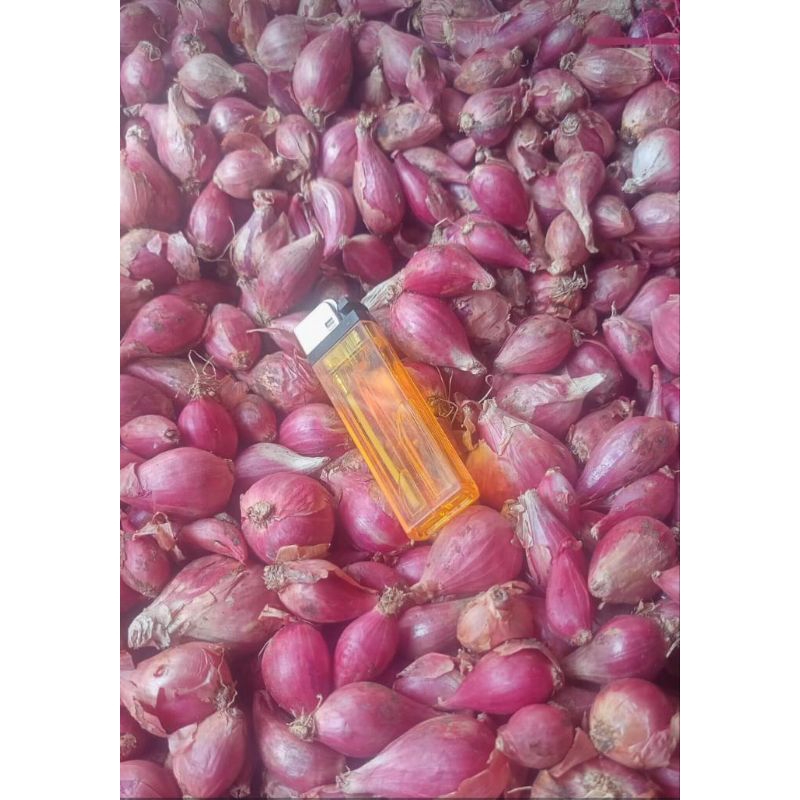 

BAWANG MERAH BREBES GRADE C 500GR | KECILAN