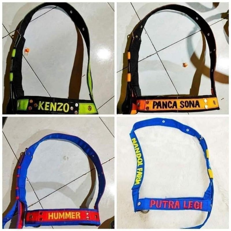Head Halter Brangus Becot + Nama Sapi Pedet Kambing Domba