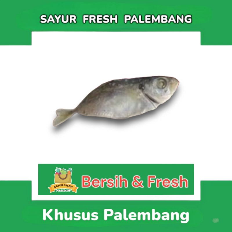 

Ikan Asin Selar - Sayur Fresh Pasar Perum