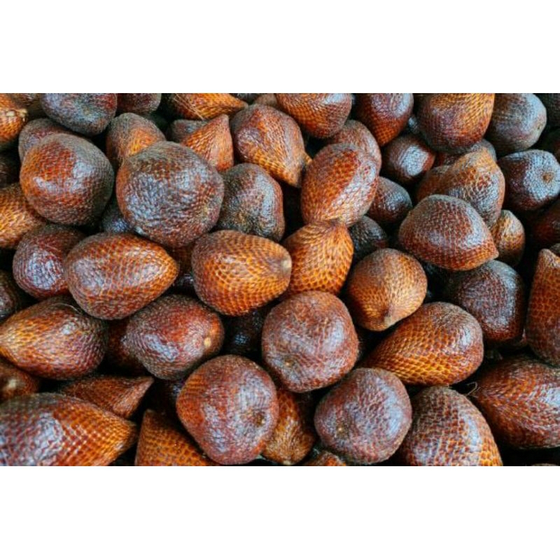 

Salak pondoh 1000 gram
