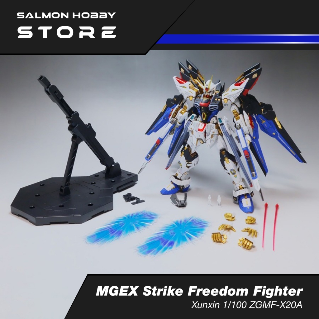 MG 1/100 Strike Freedom MGEX Xunxin Model