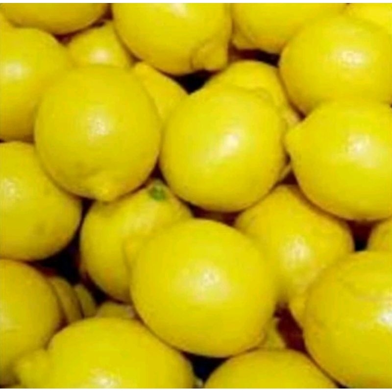 

jeruk lemon califonia lokal fresh 1 kg isi 7-10 petik kebun [FRESHLEMON]