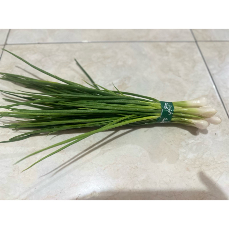 

Daun Bawang Fresh