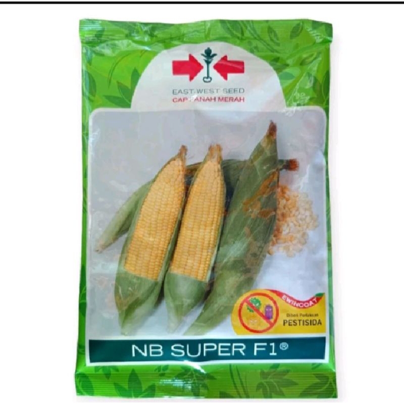 isi 1750 butir benih bibit jagung manis NB SUPER F1