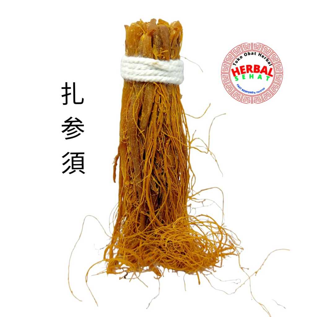 

Za Shen Xu 100 Gram 扎参须 Ca Sem Si Akar Ginseng Merah